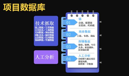 鏈塔數據工具移動端 數據處理服務的新篇章
