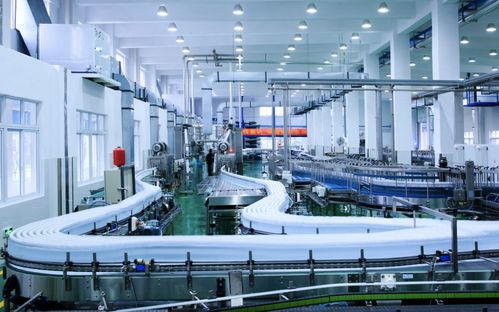 文成娃哈哈 數據驅動，打造省級未來工廠新標桿